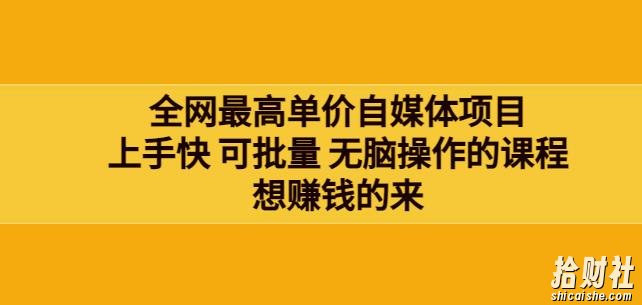 网最单高价自媒体项目：上手快可批量无脑操作的课程，想賺米的来
