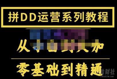 2022全套拼多多核心实操课程，从0-1轻松起链接实战，低投入高产出运作店铺