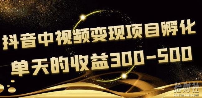 黄岛主抖音中视频变现项目孵化,单天的收益300-500操作简单粗暴