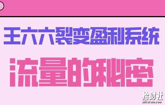 王六六裂变盈利系统课程01流量的秘密（核心诱饵+信任模型+裂变模式）