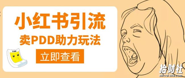 利用小红书卖拼多多助力，日赚100+，顺便还能引个流【视频课程】