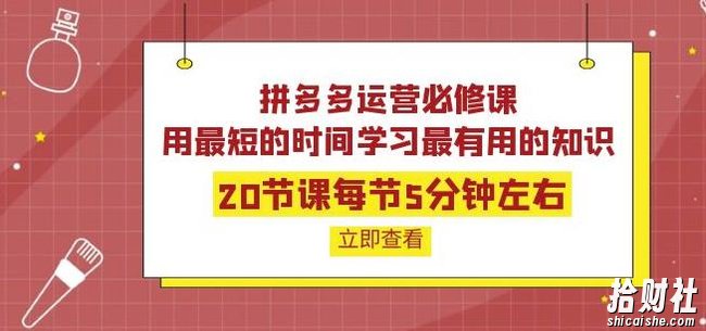 拼多多运营必修课:20节课每节5分钟左右,用最短的时间学习最有用的知识