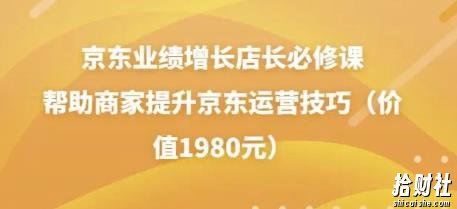 京东业绩增长店长必修课:帮助商家提升京东运营技巧(价值1980元)
