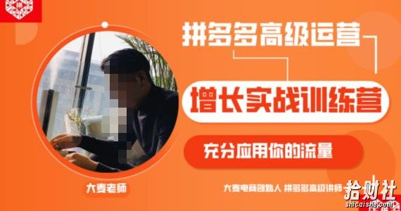 拼多多高级运营增长实战训练营,充分应用你的流量(拼多多2980元付费课程)