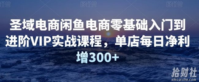 圣域电商闲鱼电商零基础入门到进阶VIP实战课程,单店每日净利增300+
