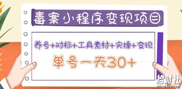 森罗万项毒案小程序变现项目：养号+对标+工具素材+实操+变现，单号一天30+