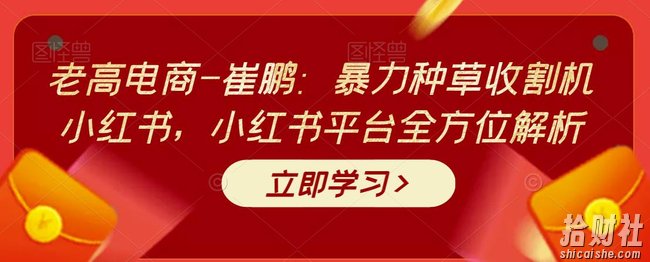 老高电商-崔鹏：暴力种草收割机小红书，小红书平台全方位解析