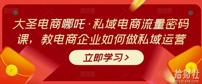 大圣电商哪吒·私域电商流量密码课,教电商企业如何做私域运营