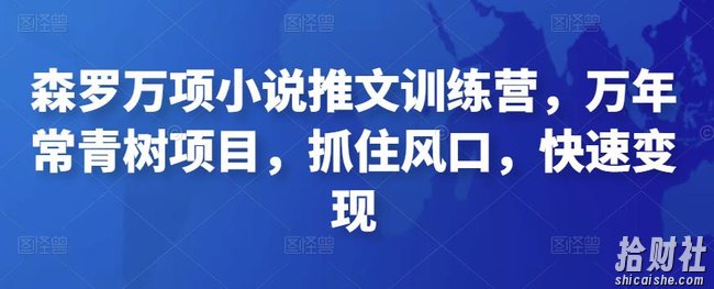 森罗万项小说推文训练营,万年常青树项目,抓住风口,快速变现