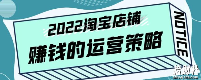 震宇老师·2022年淘宝店铺賺米的运营策略,一套能够盈利的賺米打法