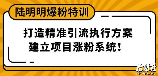 陆明明爆粉特训3月28号：打造精准引流执行方案，建立项目涨粉系统！