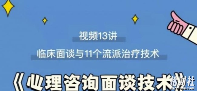 心理咨询面谈技术课理论讲授+案例实录+解释点评视频