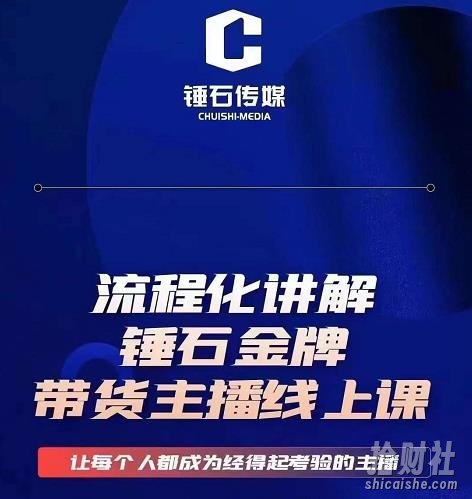 锤石传媒婉婉·金牌带货主播线上课，流程化讲解，打造金牌带货主播