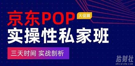 京东POP实操性私家班——大促篇,三天时间,实战剖析-原价4980