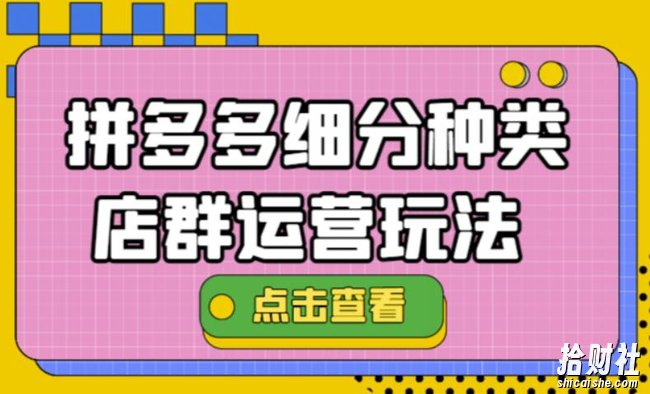 拼多多细分种类店群运营玩法3.0,11月最新玩法,小白也可以操作