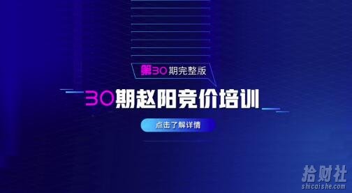 赵阳sem竞价第30期培训教程课程（2020完结）价值3999元
