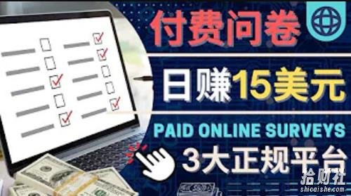 参与付费调查,利用自己的空闲时间完成问卷,适合新手的平台,日赚15美元