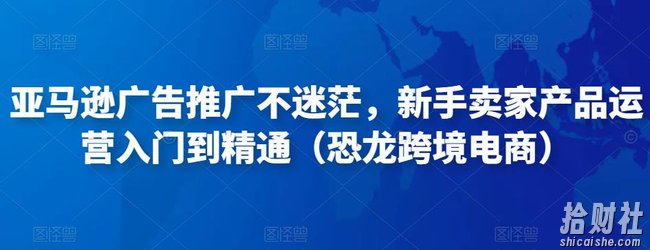 亚马逊广告推广不迷茫,新手卖家产品运营入门到精通(恐龙跨境电商)