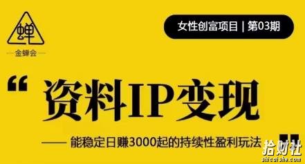 资料IP变现，能稳定日赚3000起的持续性盈利玩法