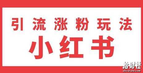 雨果：不用写文章，不用拍照片，小红书另类引流涨粉玩法（视频课程）
