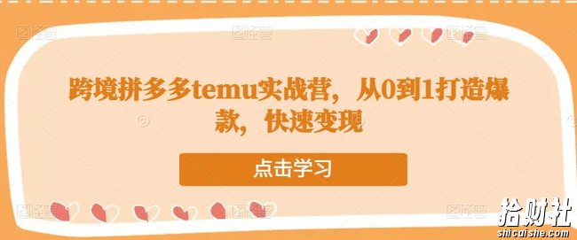 跨境拼多多temu实战营,从0到1打造爆款,快速变现