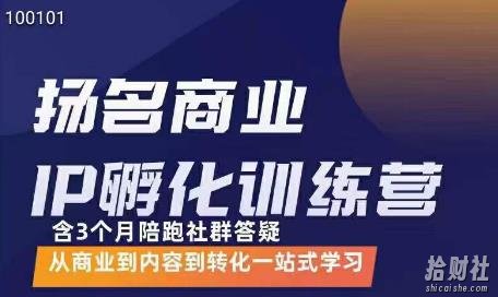 王扬名·商业IP孵化训练营,从商业到内容到转化一站式学习