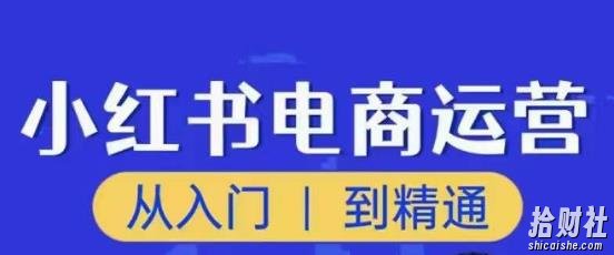 顽石小红书电商高阶运营课程,从入门到精通,玩法流程持续更新