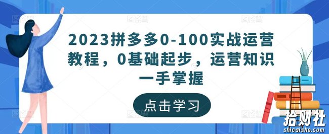 2023拼多多0-100实战运营教程,0基础起步,运营知识一手掌握