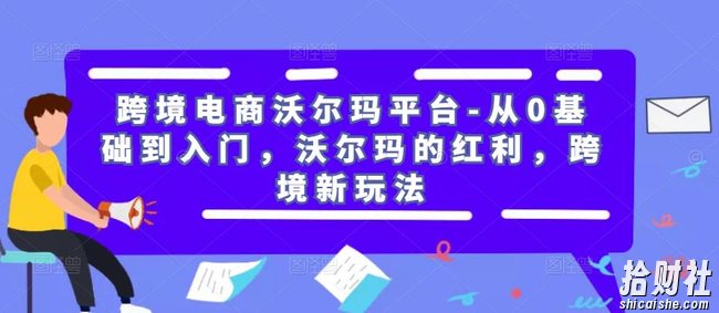 跨境电商沃尔玛平台-从0基础到入门,沃尔玛的红利,跨境新玩法