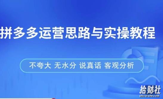拼多多店铺运营思路与实操教程,快速学会拼多多开店和运营,少踩坑,多盈利
