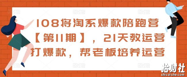 108将淘系爆款陪跑营【第11期】,21天教运营打爆款,帮老板培养运营