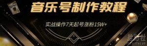 蓝深抖音超级干货-音乐号制作教程，实战操作7天起号涨粉15W+（全套课程）无水印