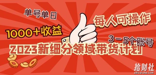 2023新细分领域带货计划:单号单日1000+收益不难,每人可操作3-5个账号