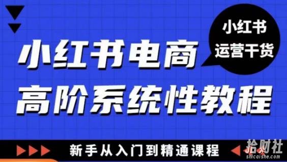小红书电商高阶系统教程,新手从入门到精通系统课