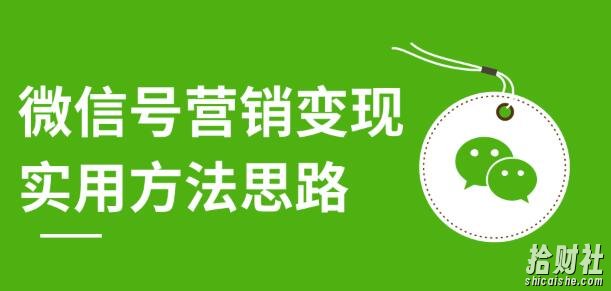 微信号营销变现实用方法思路,朋友圈刷屏裂变(共12节)价值199元