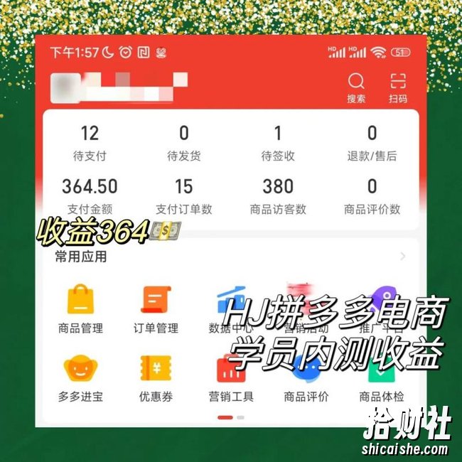 2023拼多多电商项目,稳定一天300~3000+,门槛低,出单快,一部手机即可完成