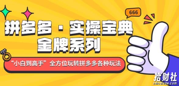 拼多多·实操宝典:金牌系列“小白到高手”带你全方位玩转拼多多各种玩法