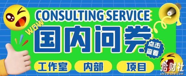 最新工作室内部国内问卷调查项目，单号轻松日入30+多号多撸【详细玩法教程】