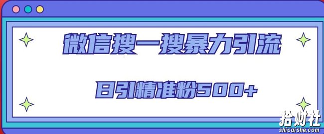 微信搜一搜引流全系列课程,日引精准粉500+(8节课)