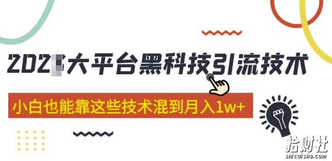 大平台黑科技引流技术,小白也能靠这些技术混到月入1w+(2022年的课程)