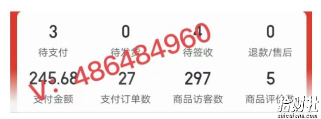 淘k·拼多多虚拟开店打卡群:一群人同行快过一个人单独摸索(昨日群里有小伙伴日入3000+)【更新至0226】