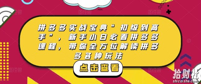 拼多多实战宝典“初级到高手”,新手小白必看拼多多课程,带你全方位解读拼多多各种玩法