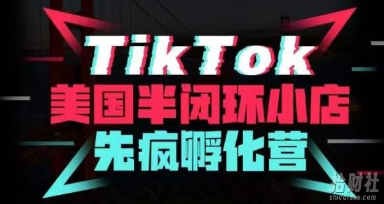 疯人院·TikTok美国半闭环小店孵化营，抢占TikTok美国蓝海市场，开店、运营、带货、投流全实操