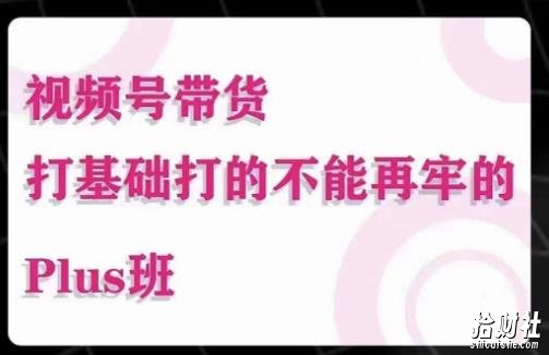 大播汇·视频号带货Puls班,视频号底层逻辑,起号自然流鱼塘等玩法