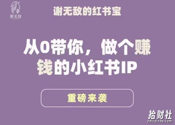 谢无敌·小红书运营大宝典,从0带你做个賺米的小红书IP