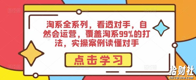 淘系全系列,看透对手,自然会运营,覆盖淘系99%的打法,实操案例读懂对手