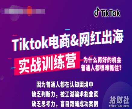 0基础学习抖音国际版TikTok海外短视频新手实战训练营【视频课】