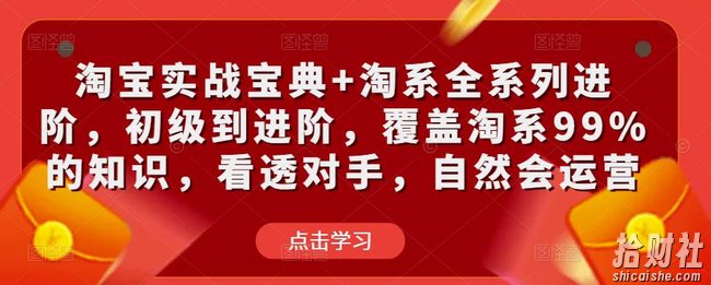 淘宝实战宝典+淘系全系列进阶,初级到进阶,覆盖淘系99%的知识,看透对手,自然会运营