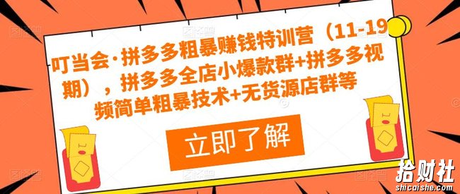 叮当会·拼多多粗暴賺米特训营(11-19期),拼多多全店小爆款群+拼多多视频简单粗暴技术+无货源店群等