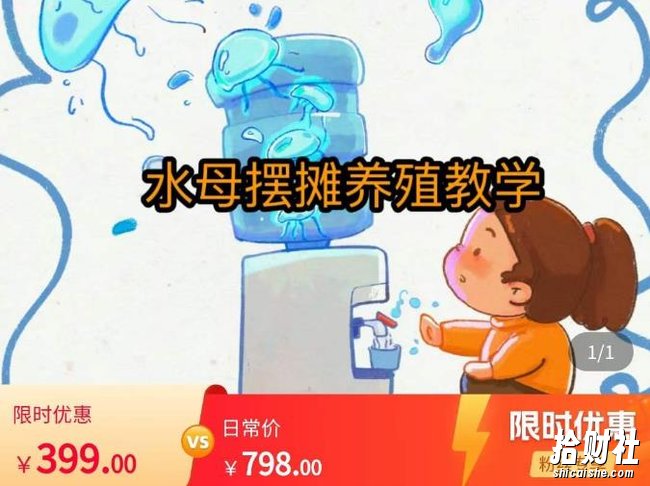 水母摆摊教学,包括摆摊技术、养殖技术、拿货渠道、抖音运营等